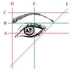 perfect eyebrow arch diagram
