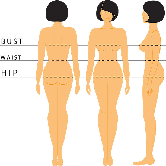 An Ideal Female Breast Shape in Balance with the Body Proportions