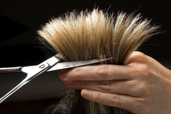 Greasy Scalp And Brittle Ends How To Treat