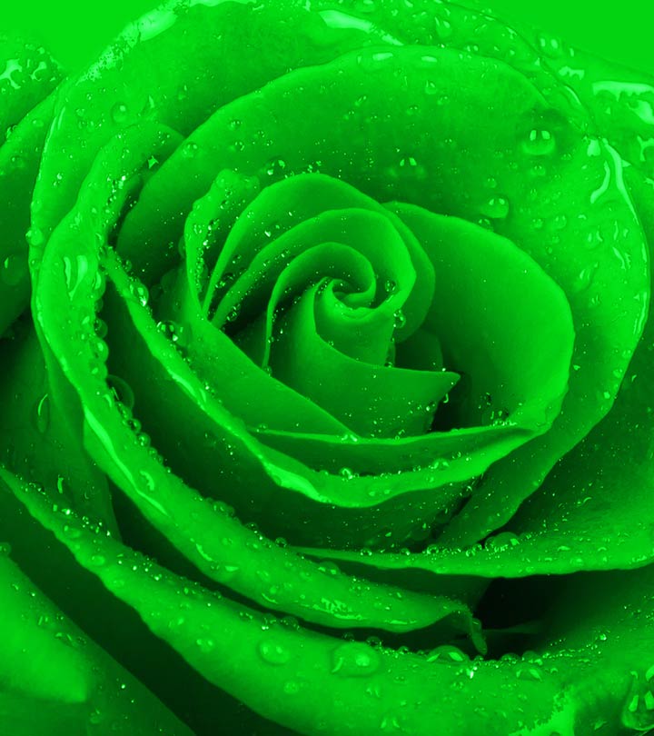 pretty green flower