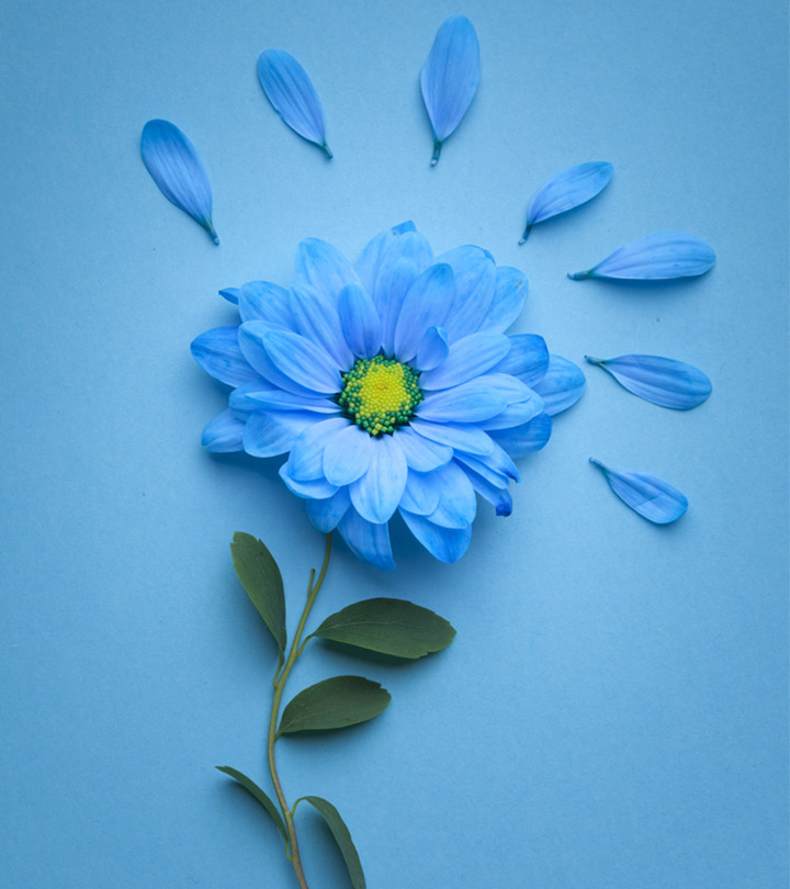 naturally blue flowers