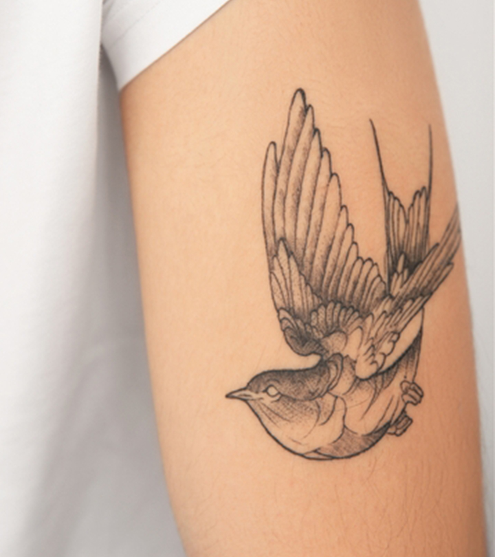 Realistic swallow in flight | Inner Vision Tattoo