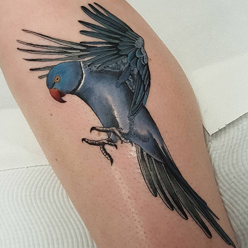 Aliens Tattoo - The parrot is blessed with the inane ability to copy most  sounds it hears. People who wear a parrot tattoo truly understand the  splendor of this gift of nature.