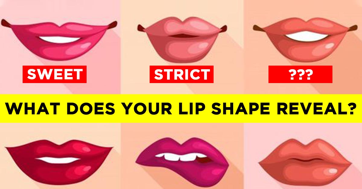 Different Lip Shapes Chart 8539