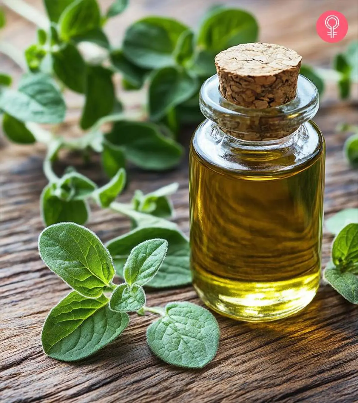 Oregano Oil: 6 Major Side Effects You Must Know