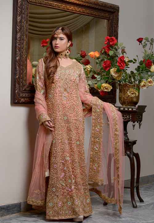 Pakistani Wedding Dress, Custom Wedding Dress, Indian Wedding, Organza  Dupatta, Reception Dress, Wedding Dress, Dresses for Women - Etsy
