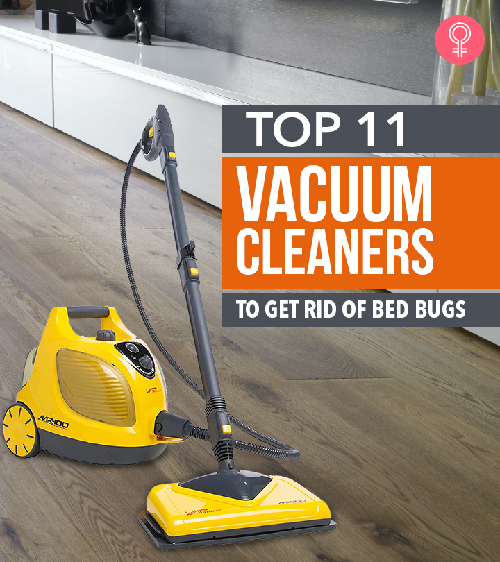 Best Steam Cleaners to Eliminate Bed Bugs (2023)