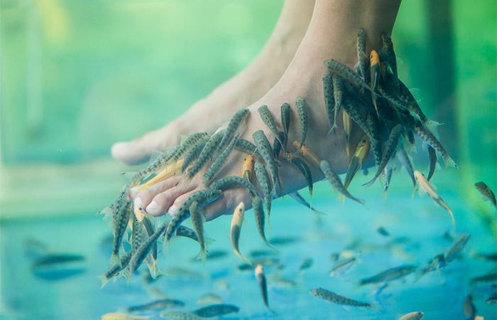 Fish Pedicure – Benefits And Safety Concerns