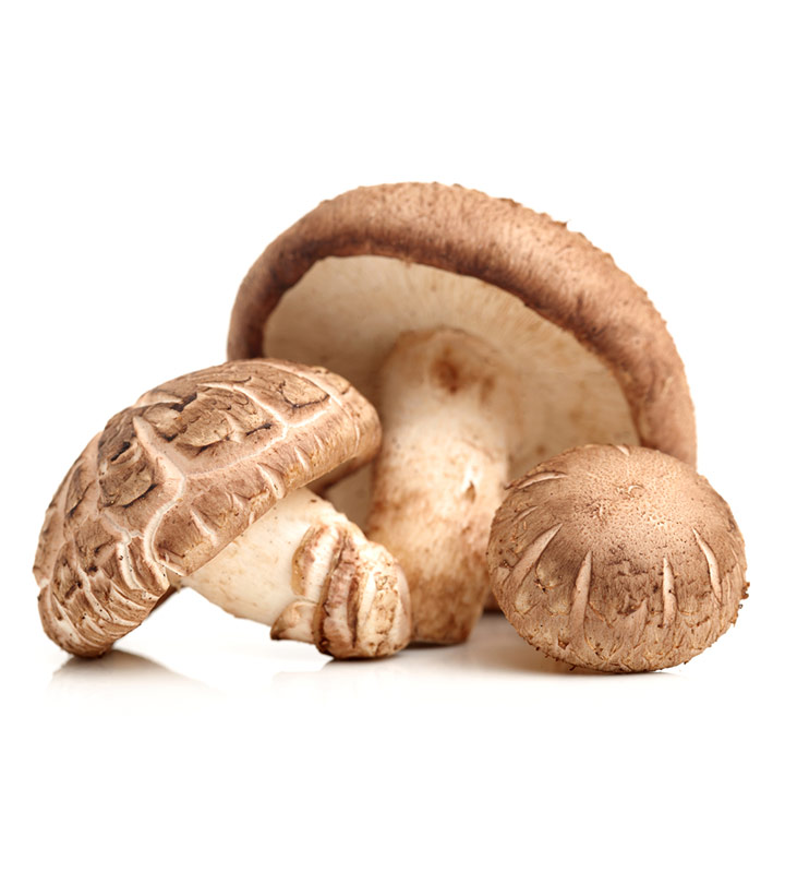 Mushrooms Shitake