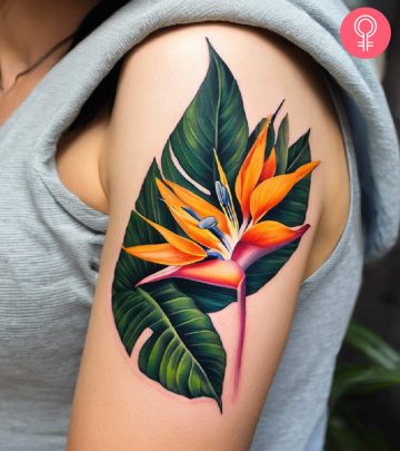Bird Of Paradise tattoo on the upper arm of a woman