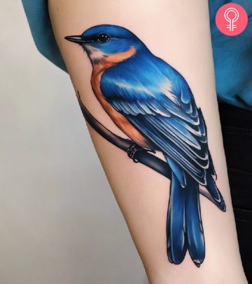 Bluebird tattoo