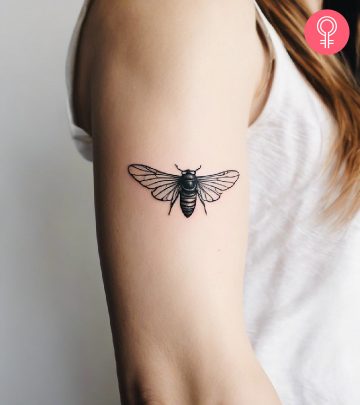 Cicada tattoo on the arm of a woman