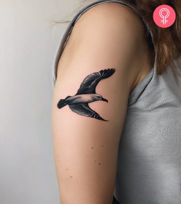 Albatross tattoo on the upper arm