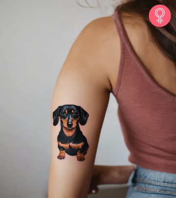 A dachshund tattoo design on the arm of a woman