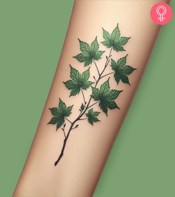 A tattoo showing green maple leaves