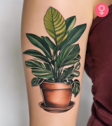 Houseplant tattoo on the upper arm