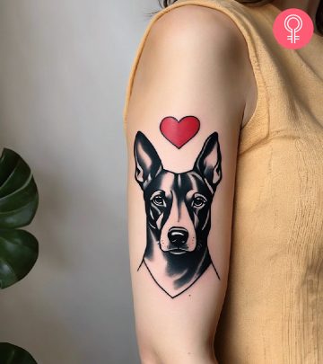 Dog with a heart tattoo on the upper arm