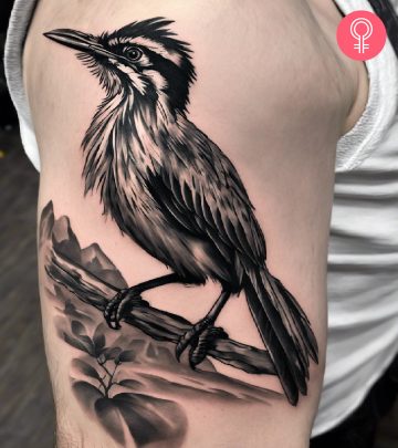 A man wearing black and white roadrunner tattoo on the upper arm