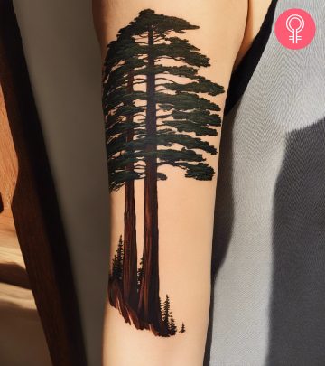Woman with redwood trees on her arm