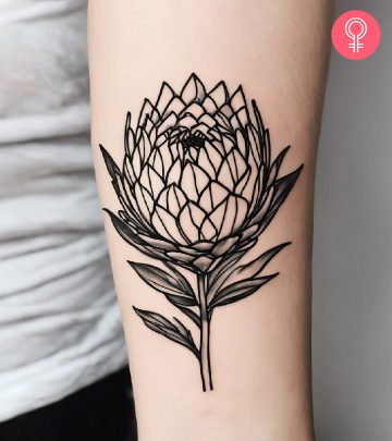 A line tattoo of protea on a woman’s forearm