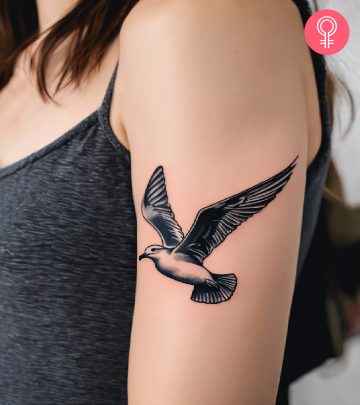 Seagull tattoo on the upper arm