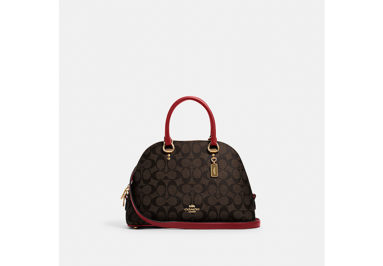 COACH® | Zip Top Tote With Bow Print