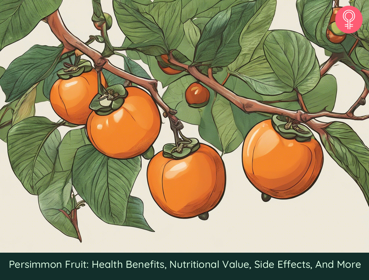 Persimmon Fruit: Health Benefits, Nutritional Value, Side Effects, And More