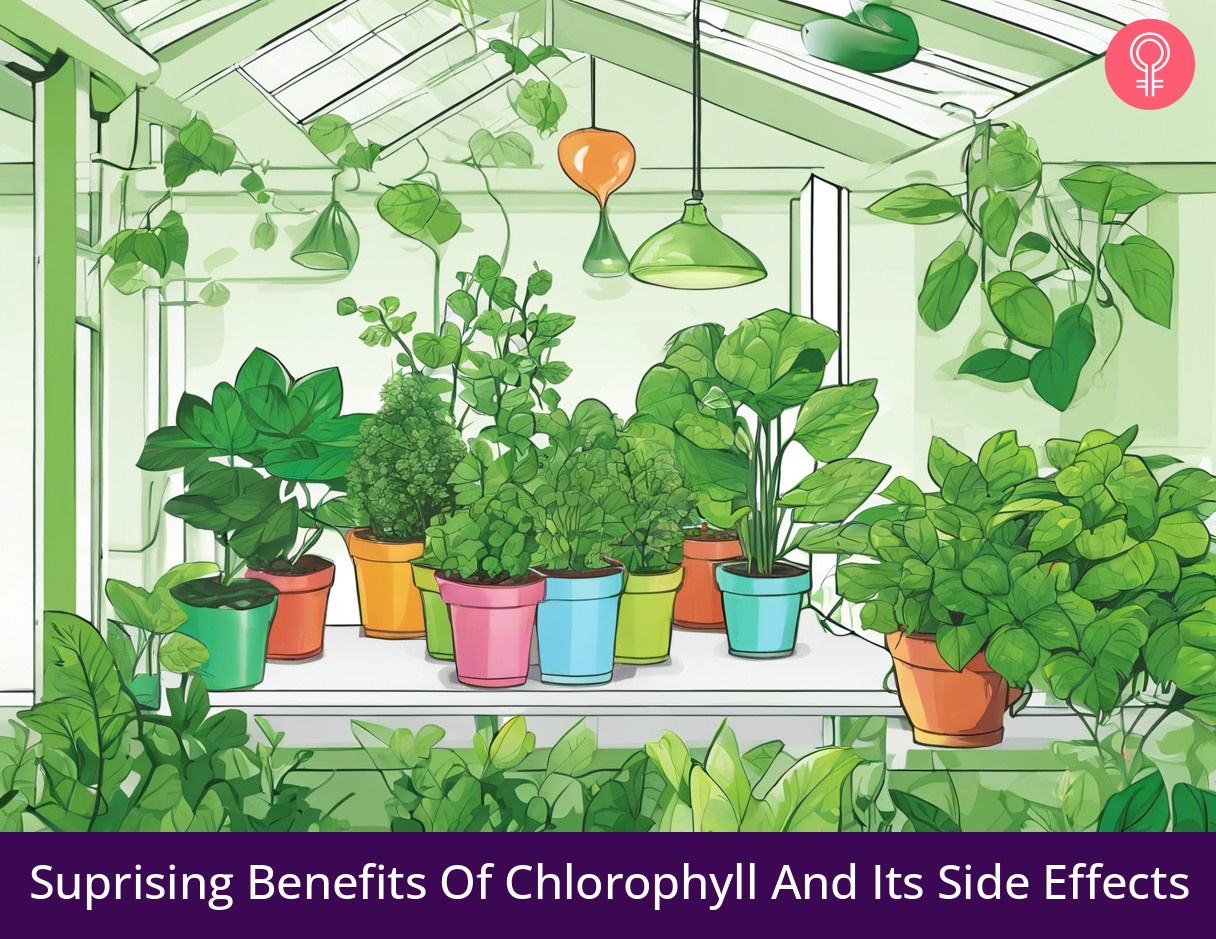 What are the benefits of drinking chlorophyll?